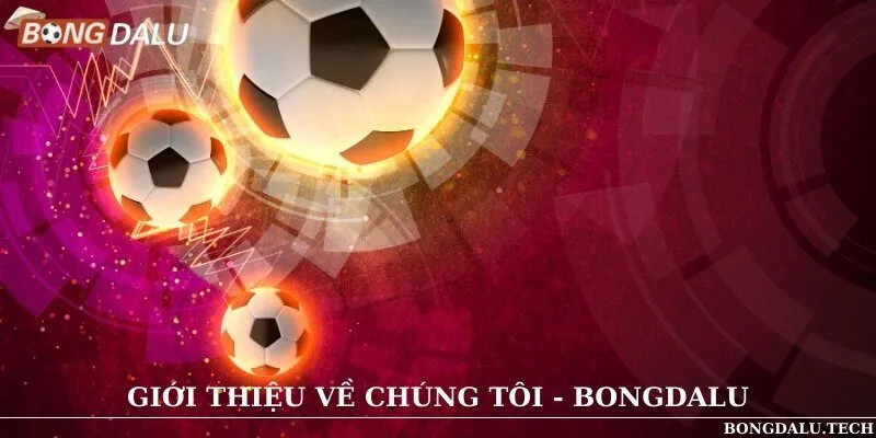 Khám phá diễn đá bóng đá lớn nhất Việt Nam